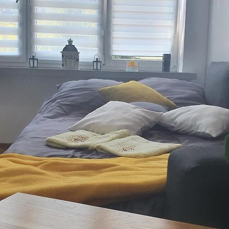 Apartament Park Saski Sandomierz Bagian luar foto