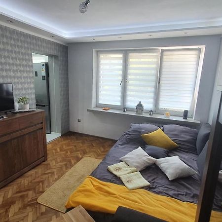 Apartament Park Saski Sandomierz Bagian luar foto