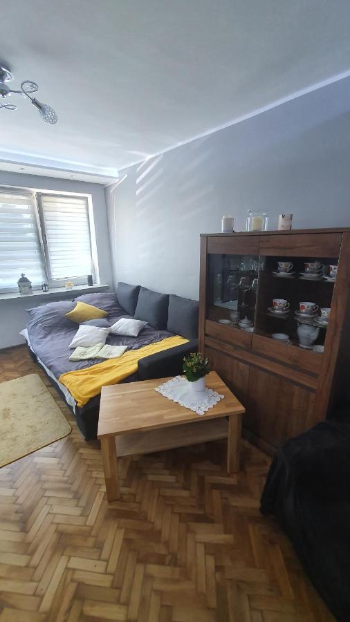 Apartament Park Saski Sandomierz Bagian luar foto