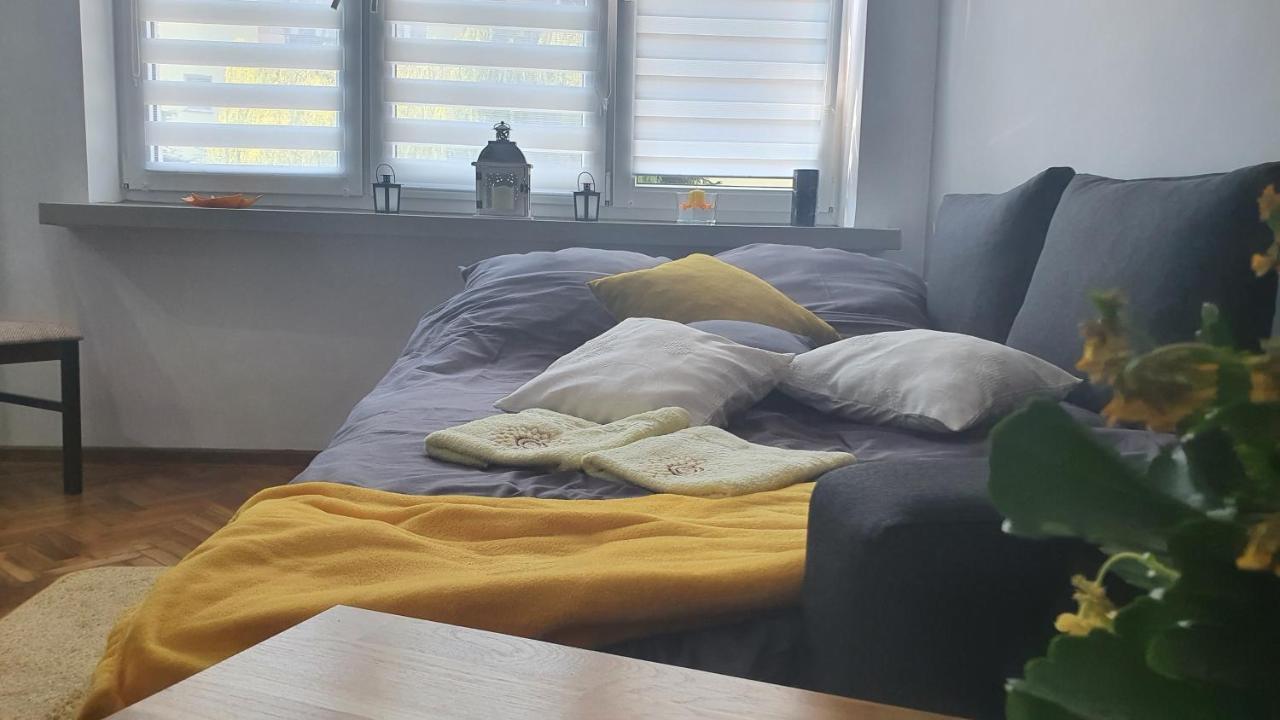 Apartament Park Saski Sandomierz Bagian luar foto