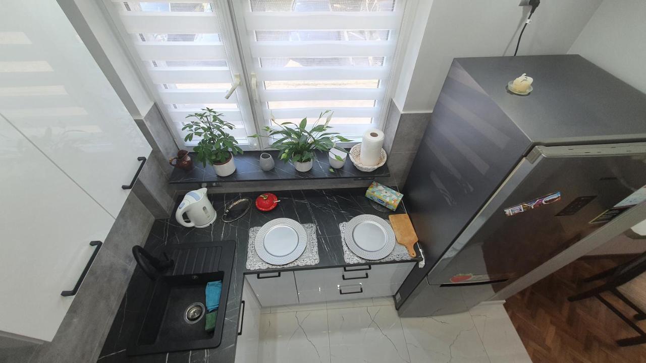 Apartament Park Saski Sandomierz Bagian luar foto