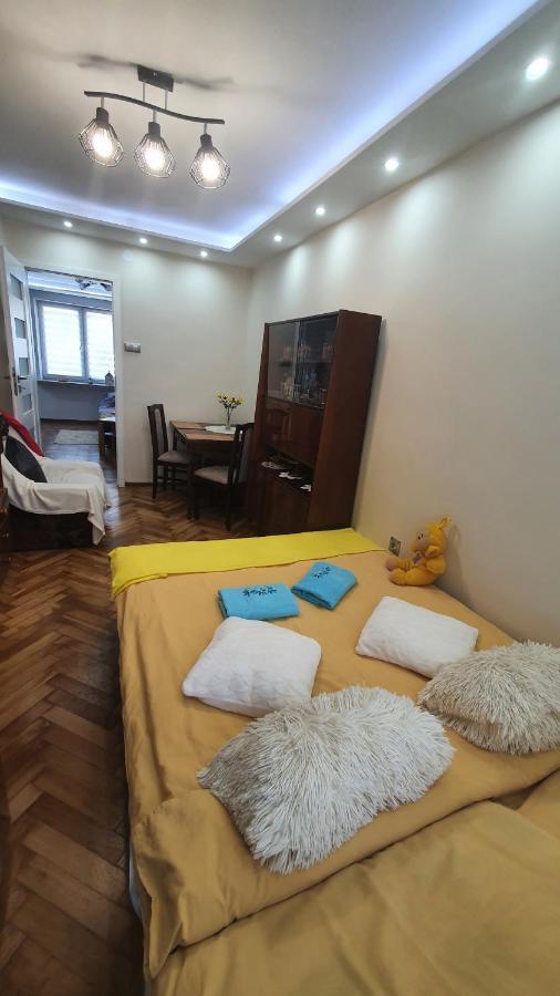 Apartament Park Saski Sandomierz Bagian luar foto