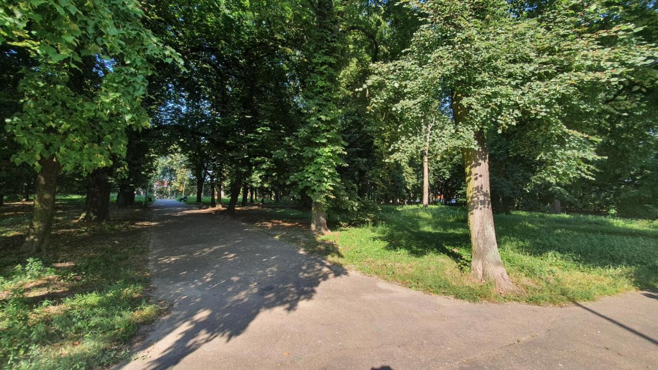 Apartament Park Saski Sandomierz Bagian luar foto