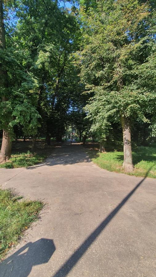 Apartament Park Saski Sandomierz Bagian luar foto